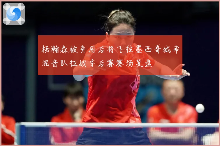 杨瀚森被弃用后将飞往墨西哥城率混音队征战季后赛赛场复盘