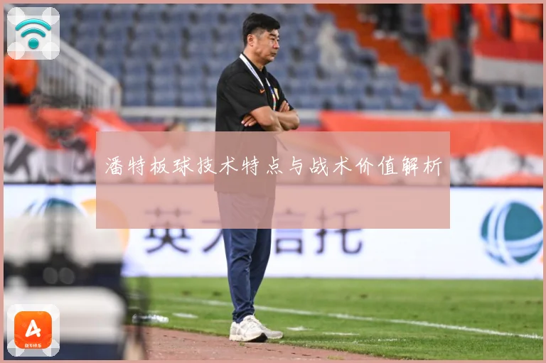 潘特板球技术特点与战术价值解析