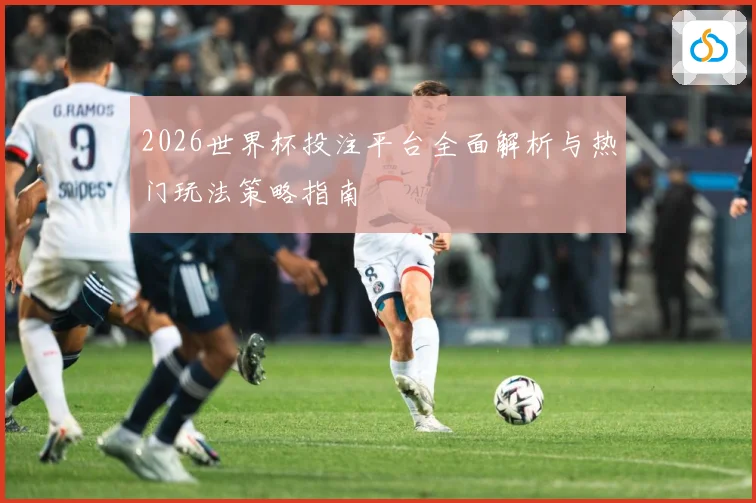 2026世界杯投注平台全面解析与热门玩法策略指南