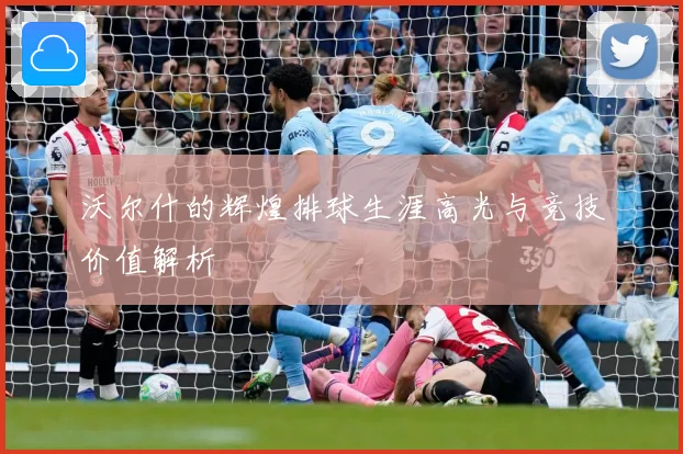 沃尔什的辉煌排球生涯高光与竞技价值解析