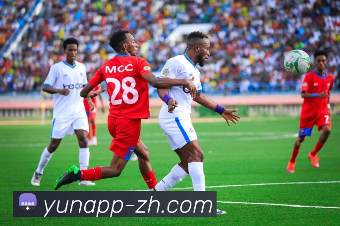 开云平台展示图